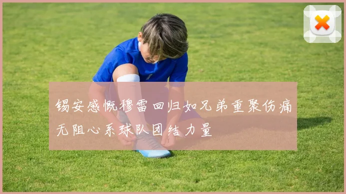 锡安感慨穆雷回归如兄弟重聚伤痛无阻心系球队团结力量