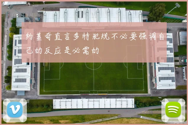 约基奇直言多特犯规不必要强调自己的反应是必需的